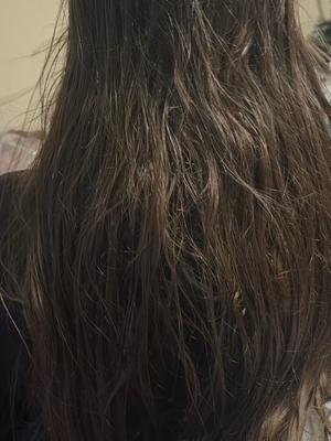 Image #2 from colleenC