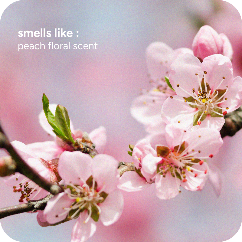 that-smoothing-hair-sent